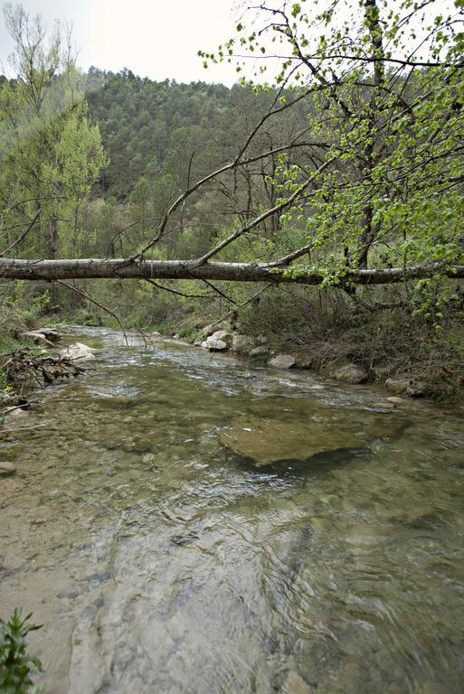 فندق La Baronia de Rialbفي  Masia Ca L'Anima الغرفة الصورة