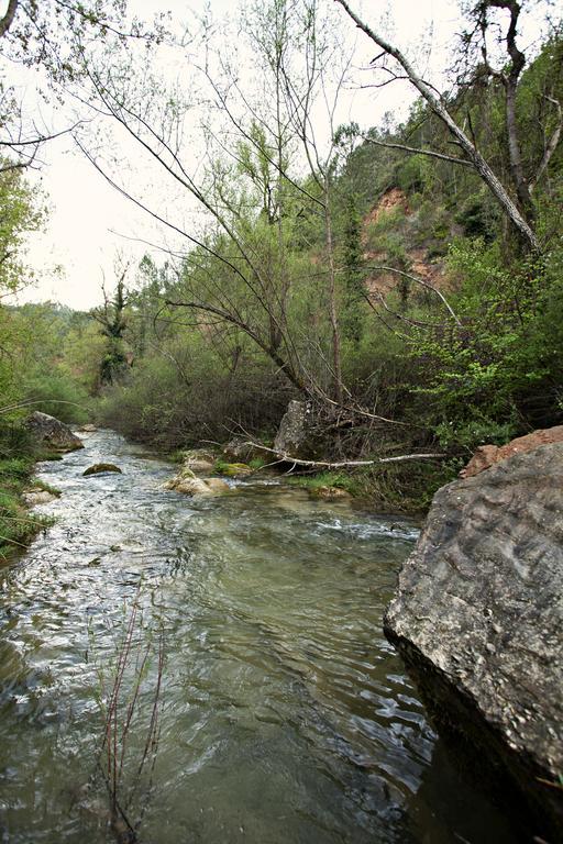 فندق La Baronia de Rialbفي  Masia Ca L'Anima الغرفة الصورة