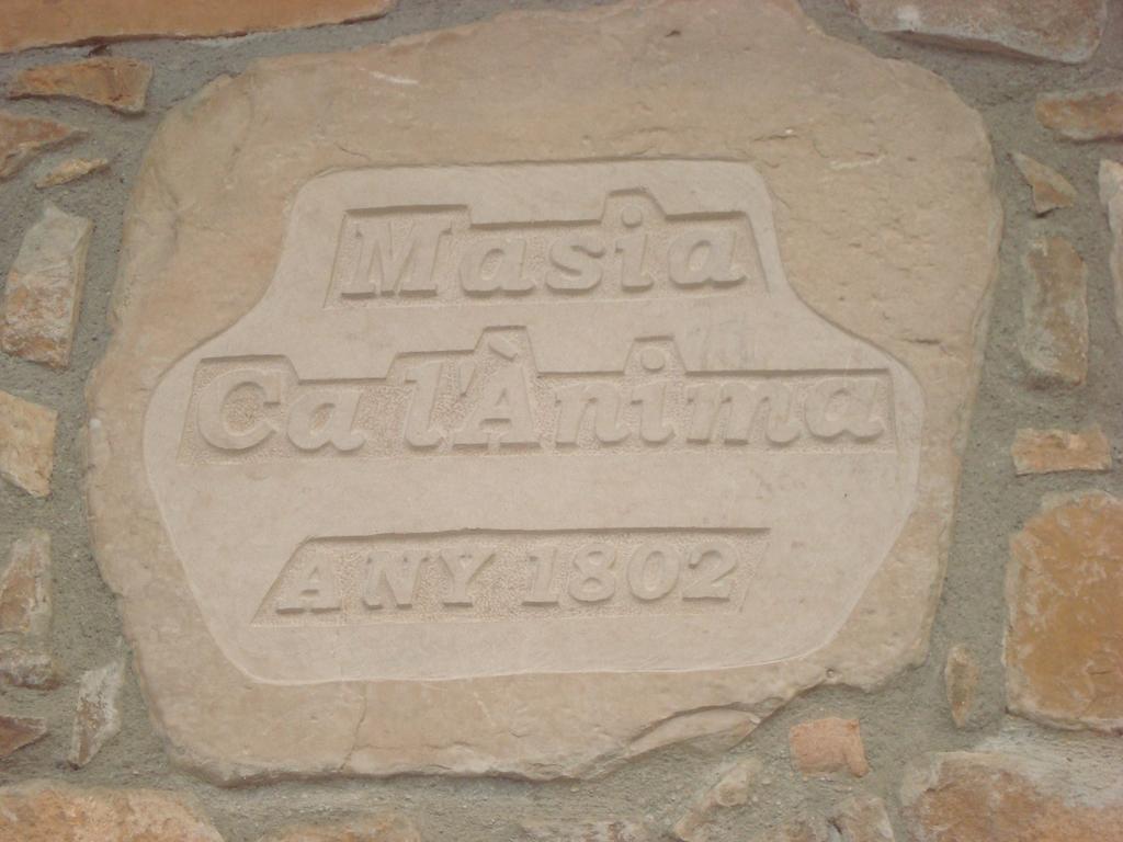 فندق La Baronia de Rialbفي  Masia Ca L'Anima الغرفة الصورة
